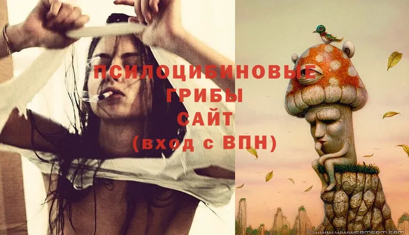 Псилоцибиновые грибы Psilocybe  сайты даркнета Telegram  Алушта  mega  